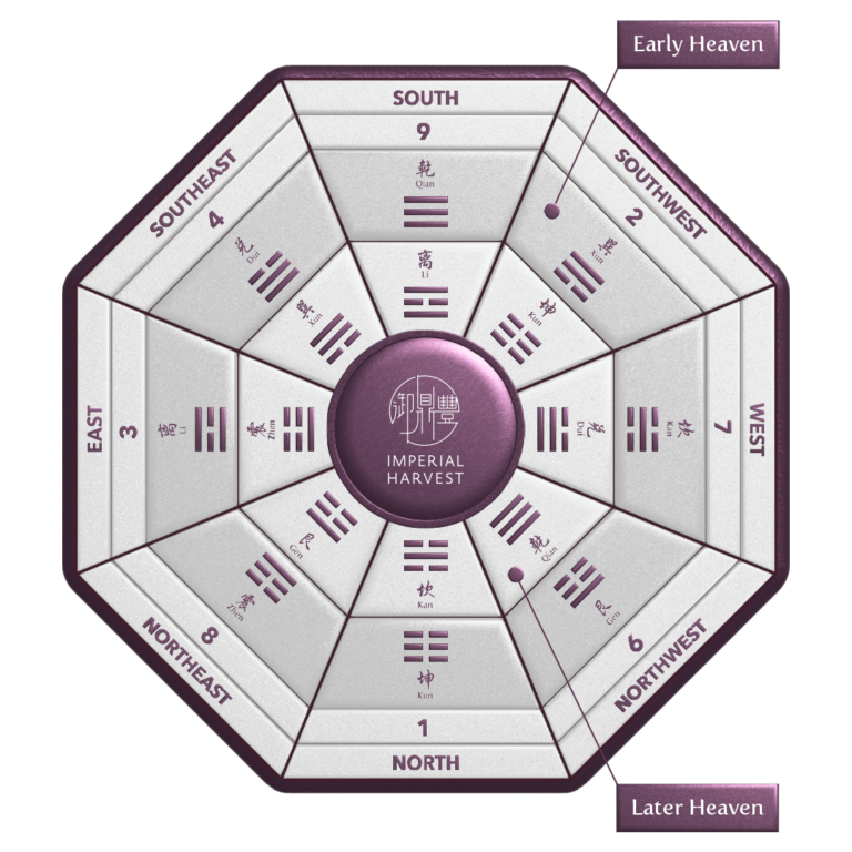 Real time Bazi & Eastern Forecast & consultation for your 2025 trend - Image 5